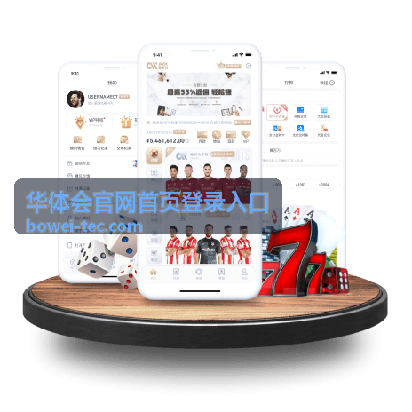 官网入口指引界面插图