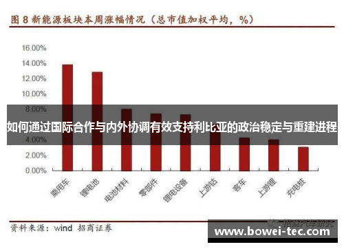 如何通过国际合作与内外协调有效支持利比亚的政治稳定与重建进程