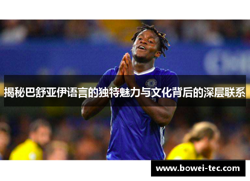 揭秘巴舒亚伊语言的独特魅力与文化背后的深层联系