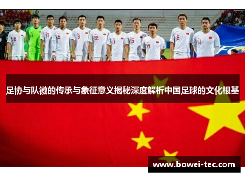 足协与队徽的传承与象征意义揭秘深度解析中国足球的文化根基