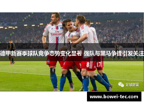 德甲新赛季球队竞争态势变化显著 强队与黑马争锋引发关注